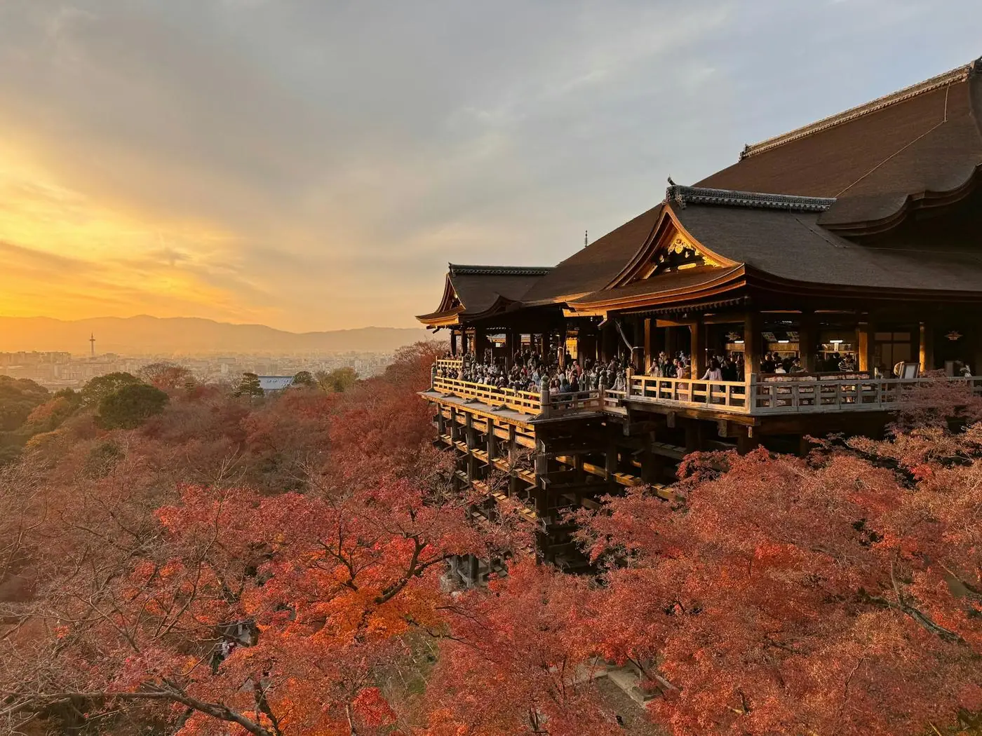 Japan Autumn Special