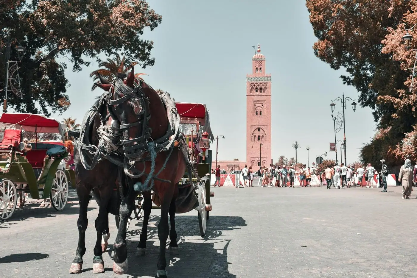 Spain, Portugal & Morocco